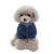 Pet Clothes Cat Dog Clothes Autumn and Winter New Poodle Pet Clothing Thick Version Two Legs Fluffy Jacket