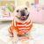 Bulldog Shapedog Pug Dog Pet Dog Clothes Autumn and Winter New Pet Clothing 22 Bulldog Stripes Fluffy Jacket
