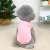 Pet Clothes Dog Clothes Winter New Double-Sided Flannel Fluffy Jacket Pet Clothing 22 Cute Fluffy Jacket Wholesale