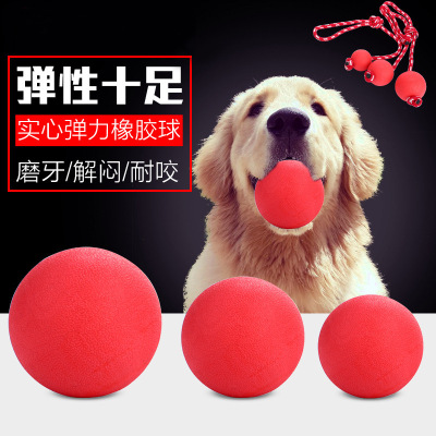 Pet Bite-Resistant Ball Solid Rubber Elastic Toy Bite-Resistant Dog Training Bite-Resistant Ball Pet Supplies Wholesale