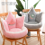 New Fruit Crown Imitation Rabbit Fur Surrounded Cushion Office Waist Support Cushion One Non-Slip Thickened Seat Cushion