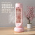 New Spray Humidifier USB Charging Tower Type Shaking Head Spray Little Fan Household Water Refrigeration Office Mute