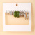 Independent Station Earrings Suit 5 Pairs of Creative Simple Acrylic Earrings Alloy Metal Earrings Pearl Earrings Women