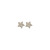 Exquisite Star Pearl Ear Studs Light Luxury Minority Design Sense Small Ear Studs 2022 New Trendy Graceful Earrings Women