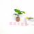 Artificial/Fake Flower Bonsai More than Cement Pots Green Plant Leaves Daily Use Ornaments