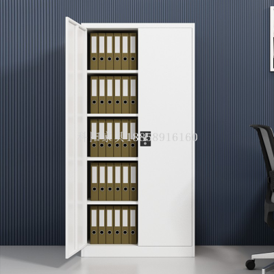Metal File Cabinet Manufacturer Double Door Cabinet Clothes Storage Metal Data Cabinet Steel Cabinet Locker Disassembly Iron Locker