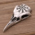 Cross-Border Hot European and American Viking Pirate Symbol Ornament Wholesale Skull Olecranon Pendant Necklace Vintage Crow Necklace