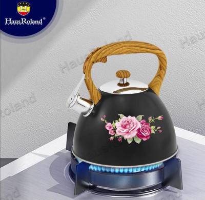Hausroland Stainless Steel Pattern Whistle Kettle Large Capacity Gas Induction Cooker Household Color Box Package 3L