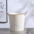 Wide-Mouth Retro Distressed White Metal Pots Hemp Rope Double-Ear Iron Hand Flower Bucket Flowers Green Plant Decoration Pots