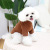 Autumn and Winter Warm Two Feet Dog Pet Supplies Wisdom Bear Fluffy Jacket Small and Medium Dog Teddy Pet Dog Clothing