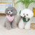 2022 Dog Clothes Stand Collar Traction Cotton Vest Pet Dog Clothes Autumn and Winter Warm Clothing Clothing
