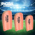 JINGBA SUPPORT 5005 Hot sale soccer shin pads shin guard breathable football match protection custom logo Manufacturer