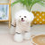 2022 Casual Four Legs Fluffy Jacket Thickened Double-Sided Fleece Dog Clothes Cute Autumn Pet Clothing