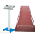 HJ-Q286 Huijunyi Physical Health Intelligent Standing Long Jump Tester (Full Range)