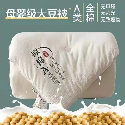 Japanese-Style Class a Raw Cotton Soybean Fiber Duvet Insert Wholesale Soybean Quilt Summer Blanket Quilt for Spring and Autumn Extra Thick Winter Quilt Cotton Quilt