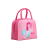 Insulated Bag Ice Pack Fresh-Keeping Bag Lunch Bag Picnic Bag Lunch Bag School Bag Beach Bag Outdoor Bag