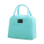 Insulated Bag Ice Pack Fresh-Keeping Bag Lunch Bag Picnic Bag Outdoor Bag Beach Bag Lunch Bag Handbag