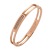 Rose Gold Titanium Steel Women's Bracelet Flawless Stainless Steel Jewelry Amazon Foreign Trade High-End Ornament