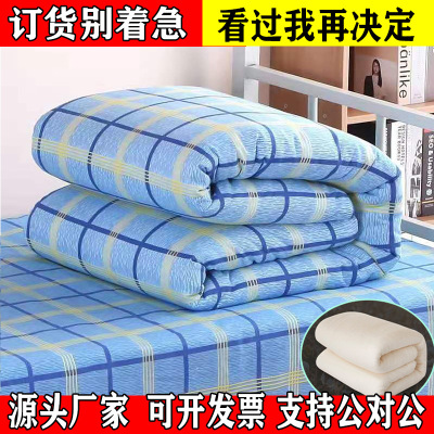 Factory Wholesale School Dormitory Bunk Bed Cotton Quilt Thickened Warm Construction Site Labor-Protection Quilt Cotton Quilt Cushion Mattress