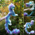 Amazon Hot Selling Animal Dragon Plush Doll Worm in Maze Children's Toy Animal Long Mouth Elf