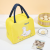 Insulated Bag Ice Pack Fresh-Keeping Bag Lunch Bag Picnic Bag Lunch Bag School Bag Beach Bag Outdoor Bag