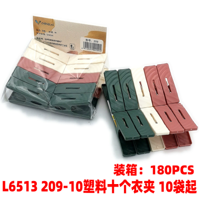 L6513 209-10 Plastic Ten Clothespin Windproof Clip Clothes Pin Clothespin Underwear Socks Plastic Clips 2 Yuan Store