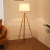 Factory Wholesale Nordic Simple Led Living Room Floor Lamp American Internet Celebrity Study Bedside Lamp Ins Bedroom Floor Lamp