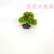 Artificial/Fake Flower Bonsai Plastic Basin Green Plant Various Fruits Daily Furnishings Ornaments