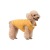 Pet Supplies Dog Winter Cotton-Padded Coat Thickened Cotton Padded Coat Small and Medium-Sized Dogs Clothes Waterproof Vest