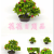 Artificial/Fake Flower Bonsai Plastic Basin Green Plant Various Fruits Daily Furnishings Ornaments