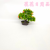 Artificial/Fake Flower Bonsai Plastic Basin Green Plant Various Fruits Daily Furnishings Ornaments