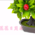 Artificial/Fake Flower Bonsai Plastic Basin Green Plant Various Fruits Daily Furnishings Ornaments