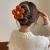 Winter Plush Flower Barrettes Female Back Head Updo Hair Claw High Sense Single Line Clip Duckbill Shark Clip Headdress