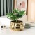Electroplated Gold Ceramic Flower Pot Home Bonsai Flower Shop Green Plant Vase Model Room Wedding Decoration Flower Pot Wholesale