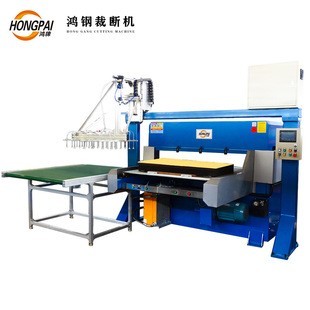 Honggang 100 Tons Blister Manipulator Material Taking Full Version Cutting Maching