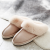 Popular Cotton Slippers Women's Autumn and Winter Home Couple Warm Home Home Plush Men's Confinement Wholesale Foreign Trade Cotton Shoes