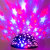 USB Plug-in Type Stage Lights Mini RGB Laser Light Starry Sky Ambience Light Colorful Projection Lamp