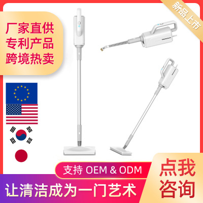 Manufacturers Supply Cross-Border Household Multi-Functional Steam Cleaner High Temperature Disinfection Steam Mop