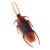 Cockroach Fool's Day Fake Cockroach Expandable Material Realistic Cockroach Whole Person Xiaoqiang Trick Toy Wholesale