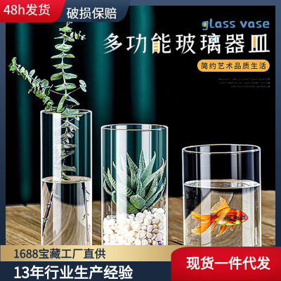 Borosilicate Glass Straight Multi-Functional Vase Green Radish Water Plant Glass Vase Flower Container Hydroponic Landscape Flower Pot