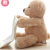 Multi-Functional Creative Electric Peekaboo Bear Talking, Singing and Moving Shy Bear Toy Gift