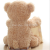 Multi-Functional Creative Electric Peekaboo Bear Talking, Singing and Moving Shy Bear Toy Gift