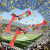 [Spot] 2022 Qatar World Cup European Cup Fans Cheer Football Hand Push Horn Inflator Cheerleading Team