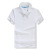 Advertising Shirt T-shirt Short-Sleeved Polo Shirt Cultural Shirt Quick-Drying Lapel T-shirt Overalls Printed Logo Factory Direct Sales