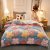 Winter Thicken Thermal Quilt Flannel Duvet Insert Lambswool Autumn and Winter Quilt Dormitory Single Double Student Bedding