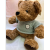 Teddy Bear Cloth Label Dressing Teddy Bear Sitting Version Embossed Velvet Bear Doll Plush Toy