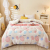 Winter Thicken Thermal Quilt Flannel Duvet Insert Lambswool Autumn and Winter Quilt Dormitory Single Double Student Bedding