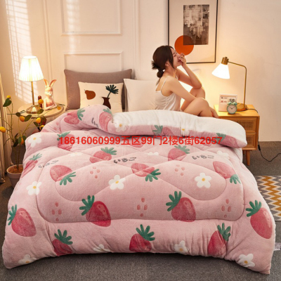 Winter Thicken Thermal Quilt Flannel Duvet Insert Lambswool Autumn and Winter Quilt Dormitory Single Double Student Bedding