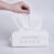 Disposable Face Cloth Cleaning Towel Thickened Cotton Puff Wet and Dry Dual-Use Facial Wipe Removable Cotton Pads Paper