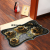 New Shaped Crystal Velvet Floor Mat Household Mat Door Mat Bedroom Home Cool Carpet